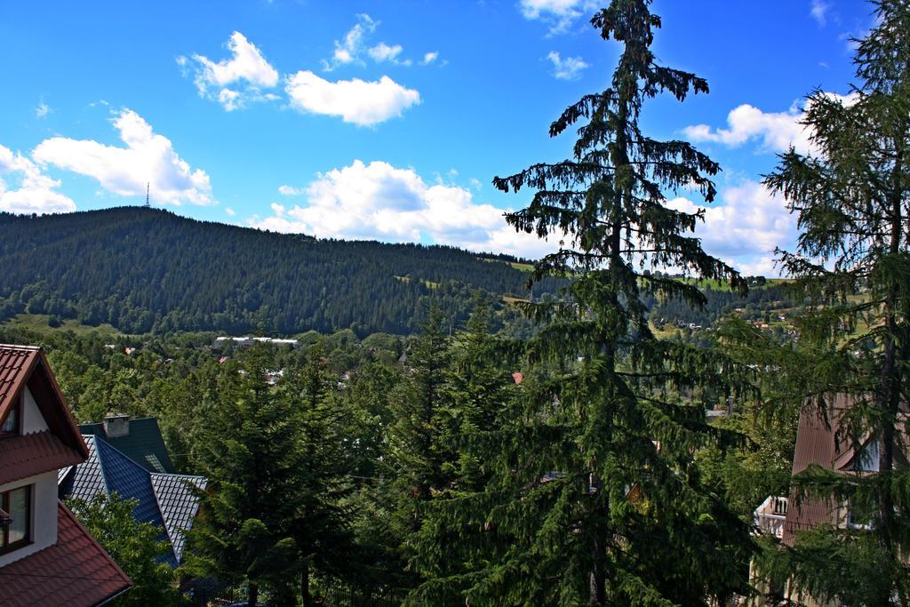 Willa Pasja Zakopane Ngoại thất bức ảnh
